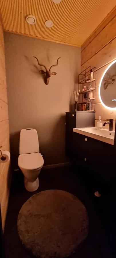 Luxury Villa Rauhankatu Rovaniemi Kültér fotó