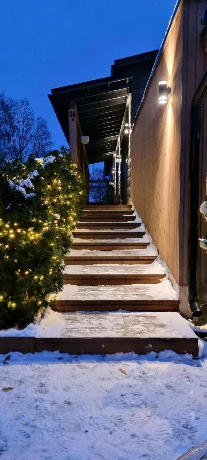 Luxury Villa Rauhankatu Rovaniemi Kültér fotó